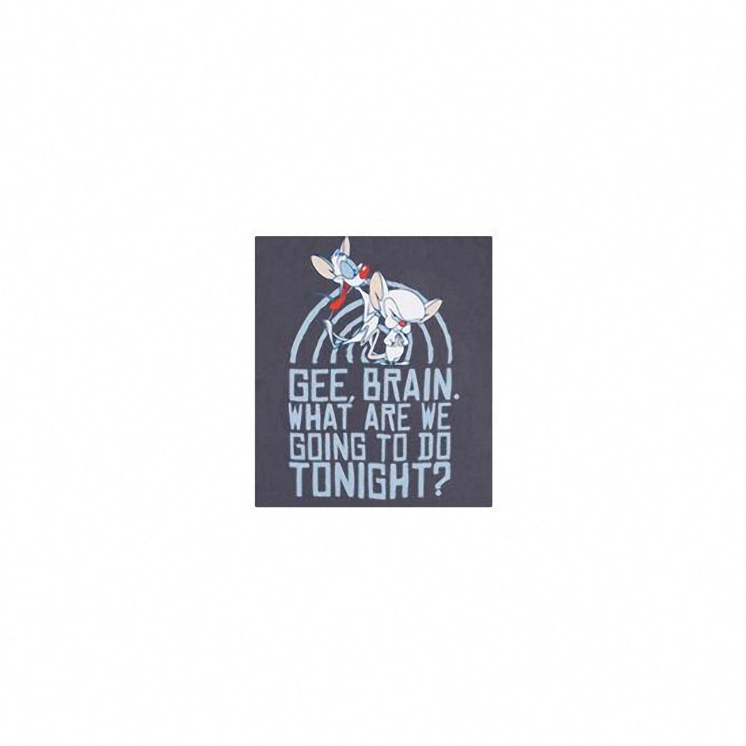 Pinky and the Brain Take Over The World Adult T-Shirt