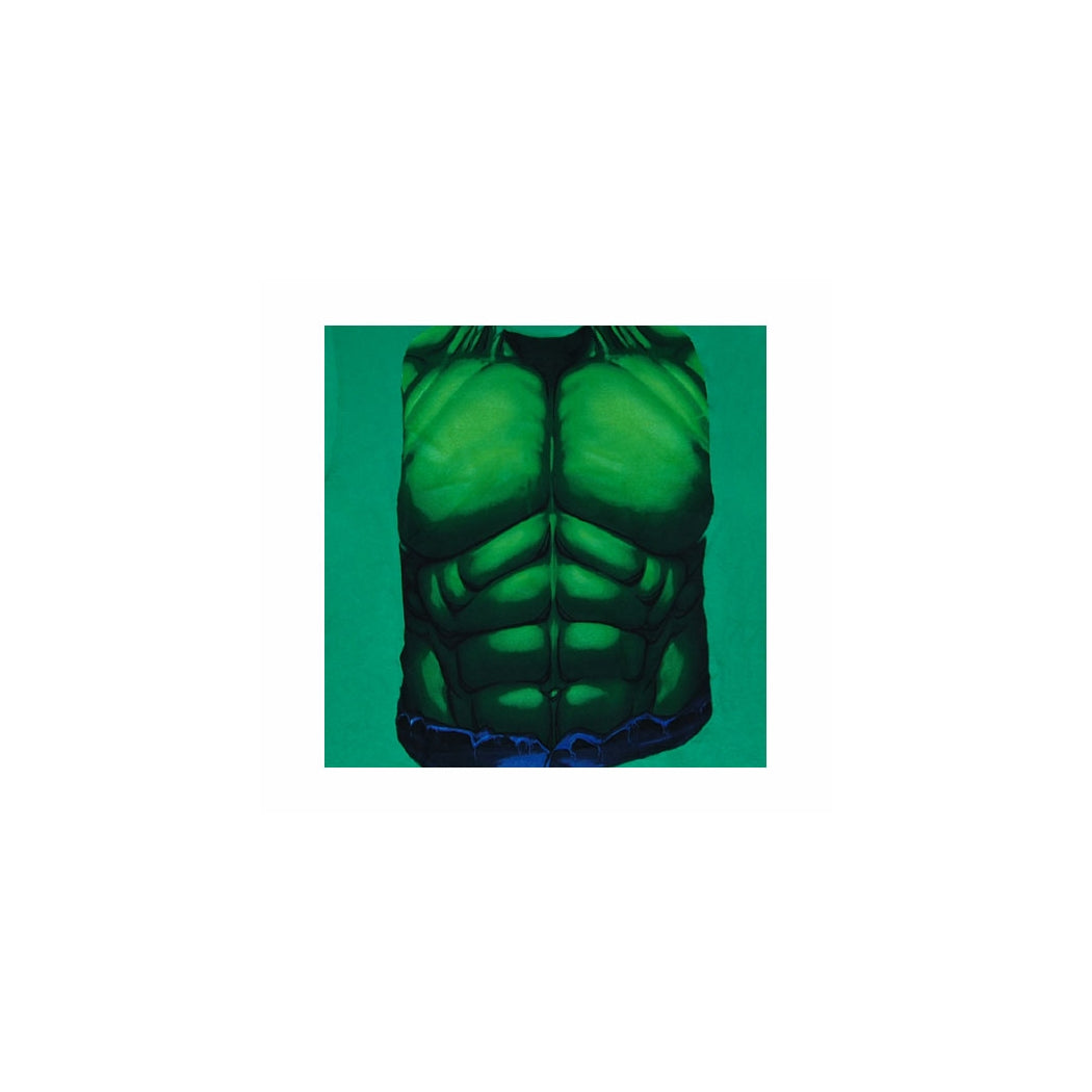 Incredible Hulk Smash Costume Juvy T-Shirt