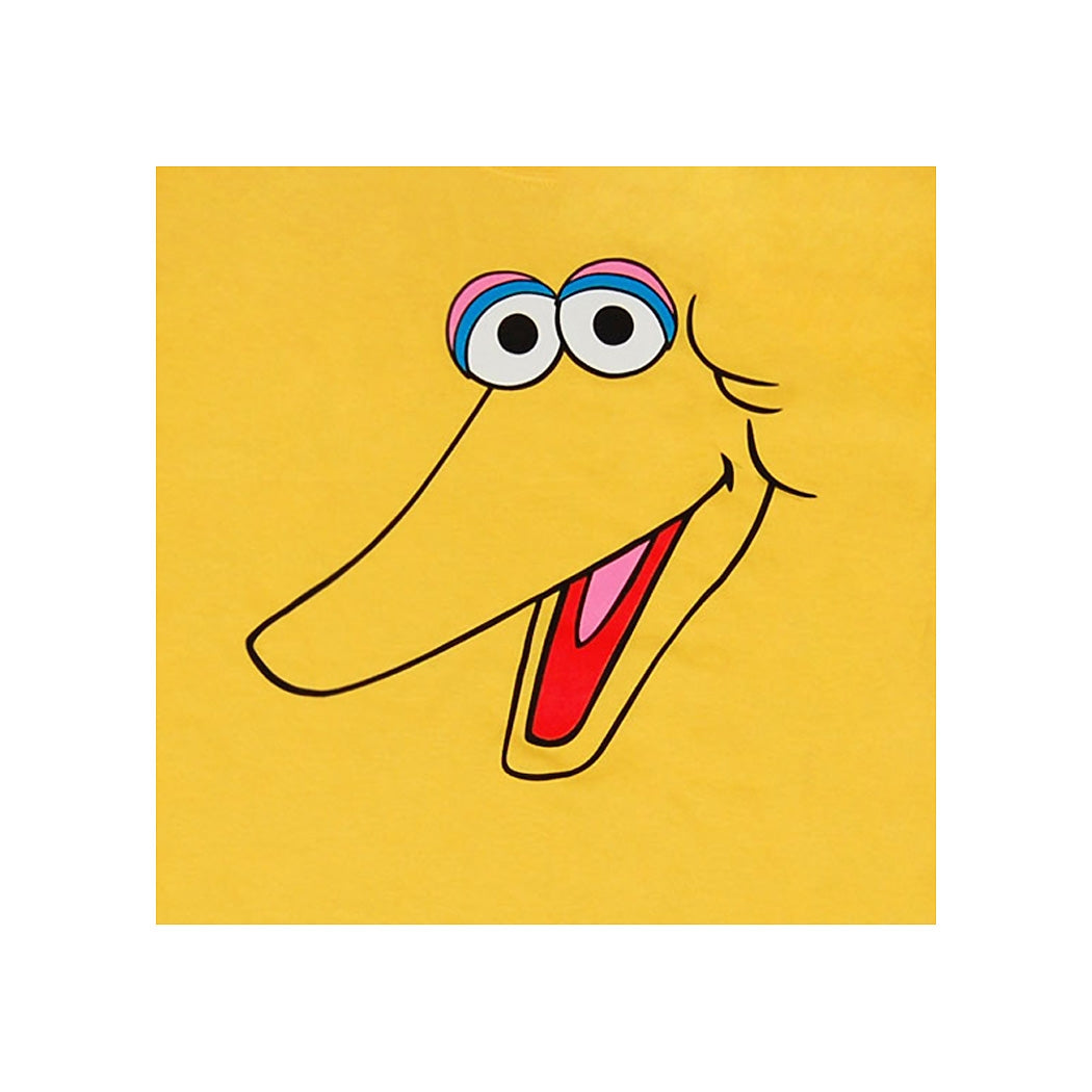 Big Bird Face Youth Kids T-Shirt