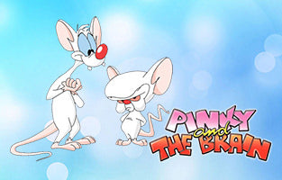 PINKY AND THE BRAIN