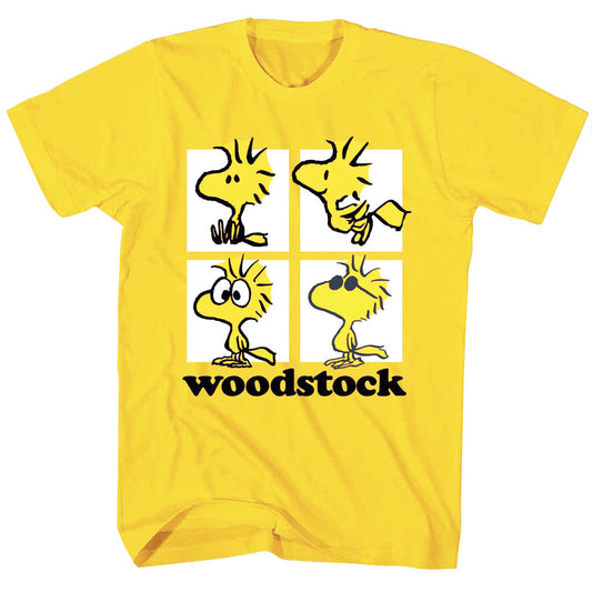 Peanuts Woodstock Squares T-Shirt