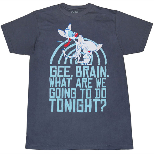 Pinky and the Brain Take Over The World Adult T-Shirt