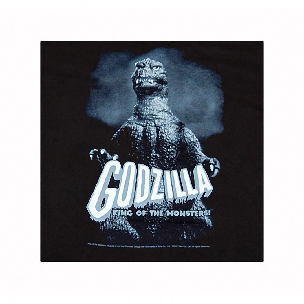 Godzilla King Of Monsters T-Shirt